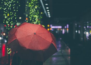 umbrella-801918_1920